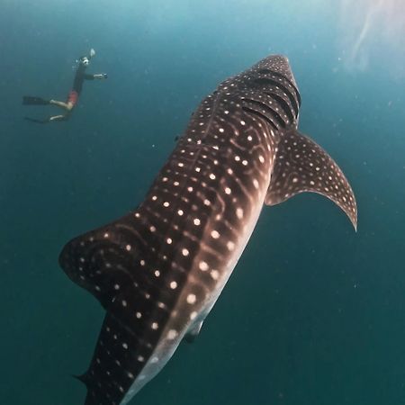 Hotel Dhigurah Dhonveli Boutique Zewnętrze zdjęcie