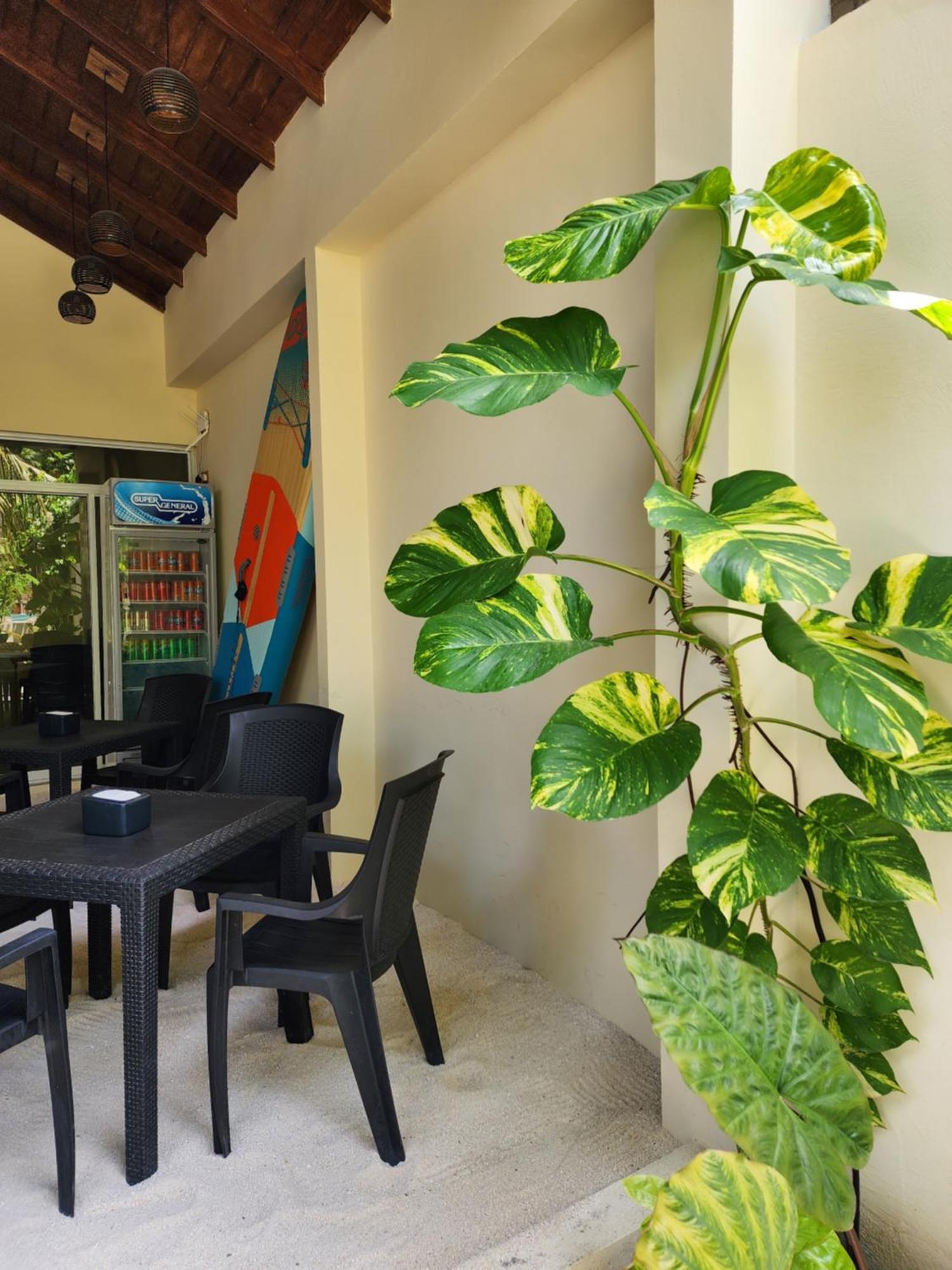 Hotel Dhigurah Dhonveli Boutique Zewnętrze zdjęcie