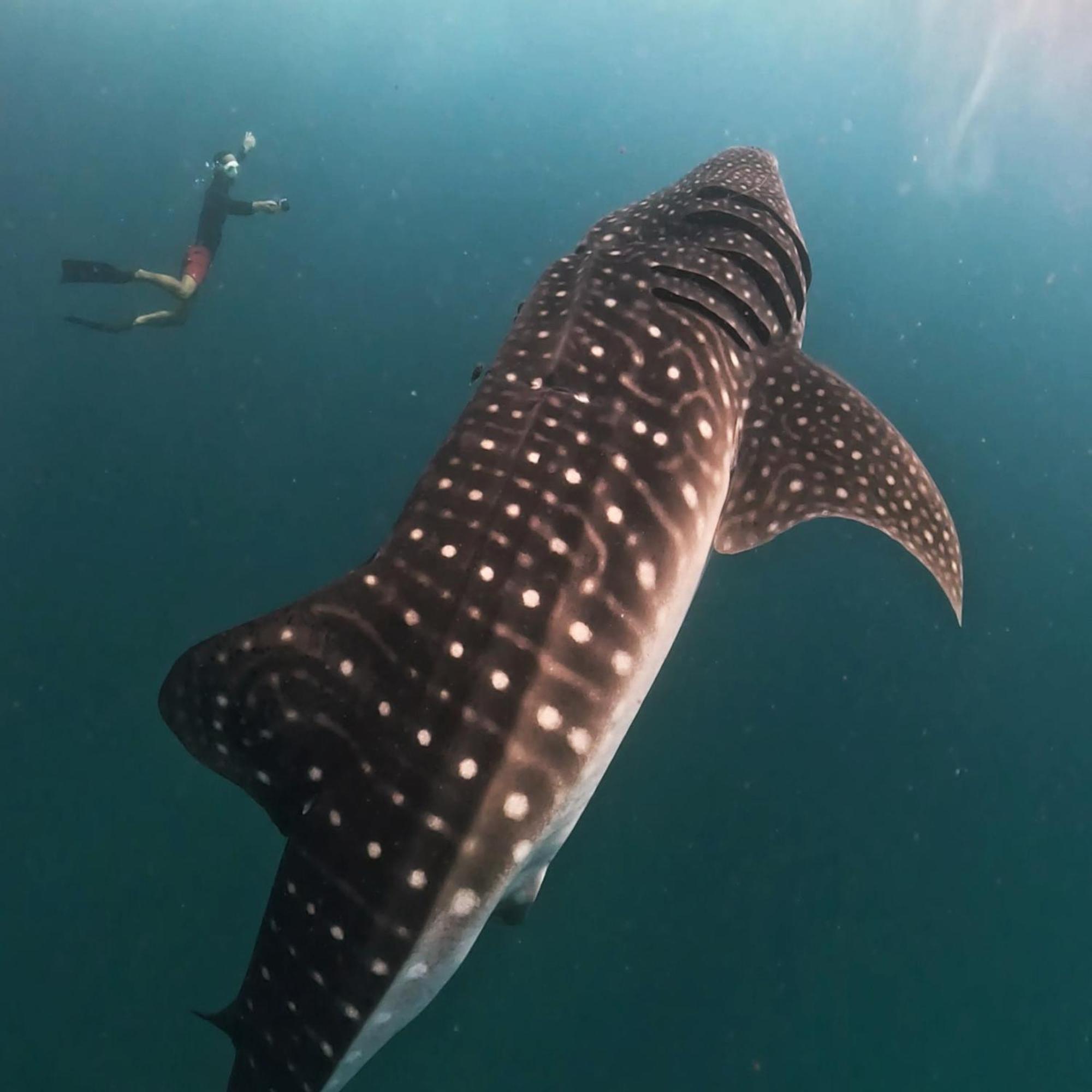 Hotel Dhigurah Dhonveli Boutique Zewnętrze zdjęcie